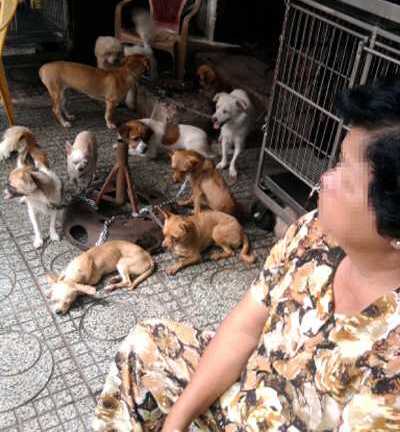 Trộm chó hoành hành: Bỏ tiền triệu đi chuộc chó cưng