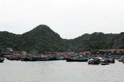 Đắm tàu trên biển Cát Bà, 7 người mất tích