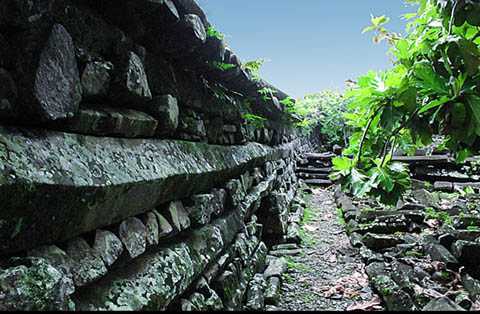 Bí ẩn thành phố của người khổng lồ giữa Thái Bình Dương