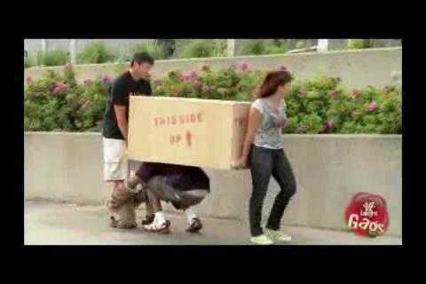 Trò đùa thót tim