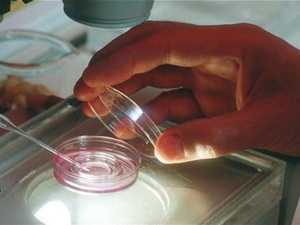 Tìm ra phương pháp điều trị vô sinh từ tế bào gốc