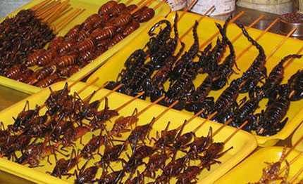 Ăn quá nhiều côn trùng, một người tử vong