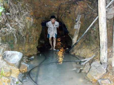 Gửi tấm thân tàn nơi rừng thiêng nước độc