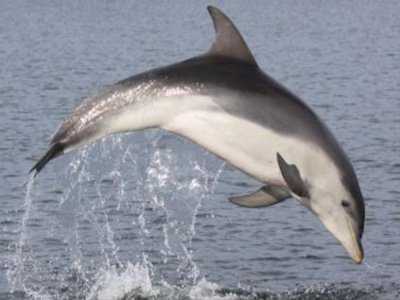 Vũ khí đáng kinh ngạc của hải quân Ukraina