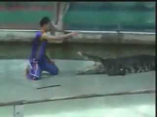 Những hành động ngu ngốc được cư dân mạng bình chọn