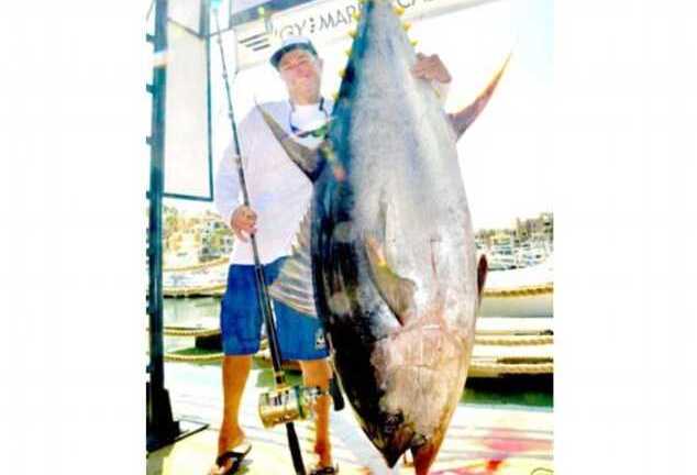 Tận mắt cá ngừ vây vàng 200kg giá 20 tỷ đồng