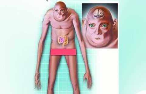 Dự đoán hình ảnh loài người 1000 năm sau