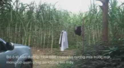 'Ông trùm' buôn hổ lẩn vào rừng mía, trốn cảnh sát