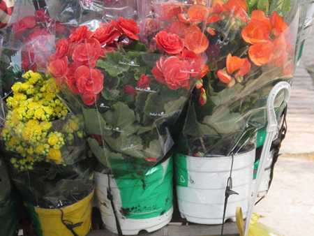 Quà 20/10: Dịch vụ nhận đặt hoa theo yêu cầu lên ngôi