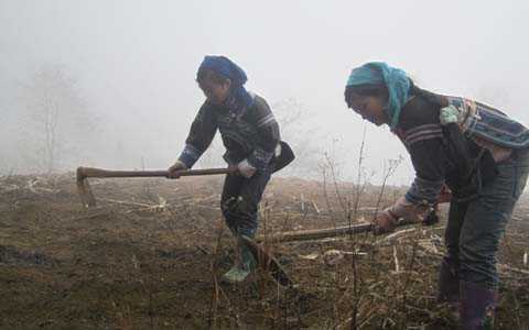 Nỗi đau của những đàn bà lấy chồng nghiện