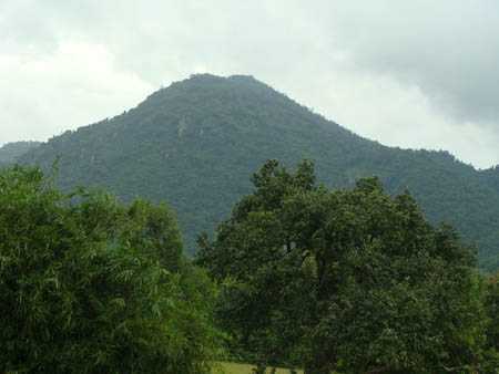 “Quái thú” bí ẩn và chiếc sừng hút độc rắn ở Thất Sơn