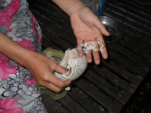 Áo ngực Trung Quốc chứa thuốc lạ gây ngứa