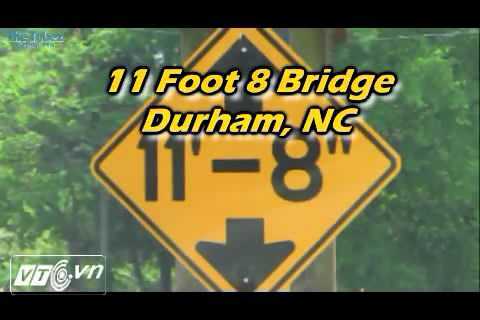 Chiếc cầu bị hàng trăm ô tô đâm