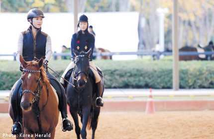 Hậu Gangnam Style, dân Hàn chi bộn tiền học cưỡi ngựa