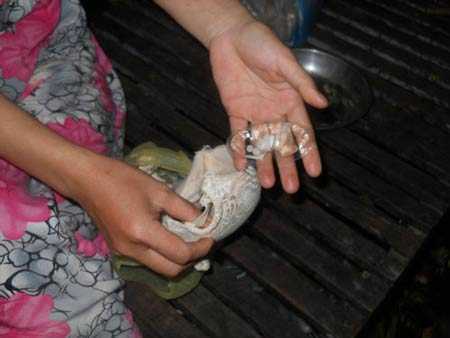 Danh sách áo ngực Trung Quốc, Việt Nam có chất lạ