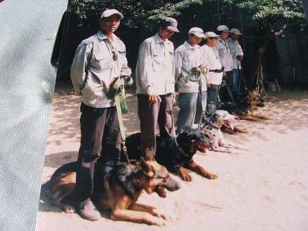 Đại gia Việt chi đậm cho chó học ngoại ngữ