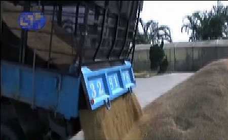 Hàng chục tấn gạo Đài Loan chứa thuốc trừ sâu vượt mức