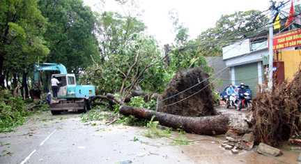 Bão số 7, số 8: Bảo hiểm bồi thường nông dân