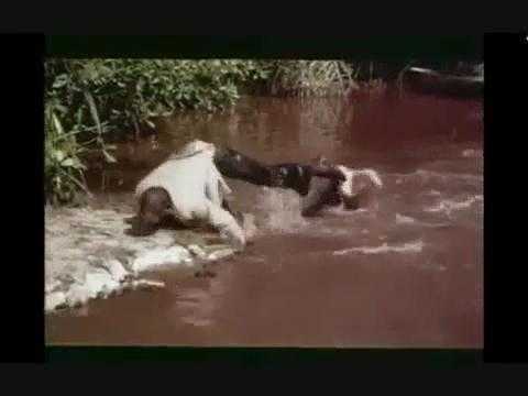 Chạy như bay qua sông cá sấu