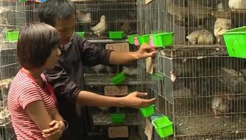 SABECO sát cánh cùng những triệu phú 'sinh ra từ làng'