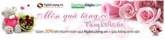 Dienhoa24gio.com giảm 20% qua Ngân Lượng.vn