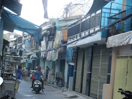 Chuột 'ngủ chung' với người giữa Sài Gòn