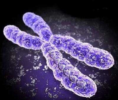 Phát hiện hai ‘khối u’ nhỏ, xác định lại giới tính