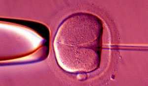 Cặp sinh đôi ra đời từ trứng đông lạnh cách đây 12 năm