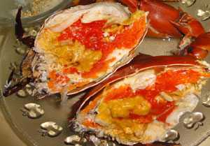 Nhận biết cua gạch bơm phoóc môn thế nào?