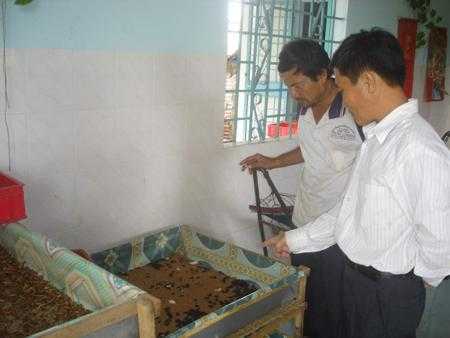 Ông giáo làng mê... sâu, bọ