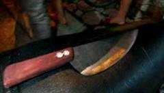 Bắt thêm băng cướp tàn độc ở TP.HCM