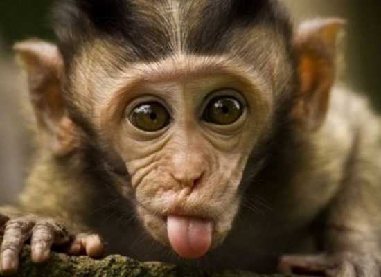 10 clip hot nhất tuần qua