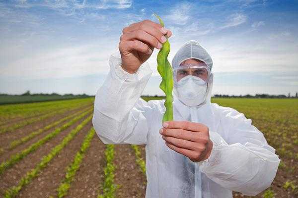 Những công việc lương hấp dẫn nhất năm 2012