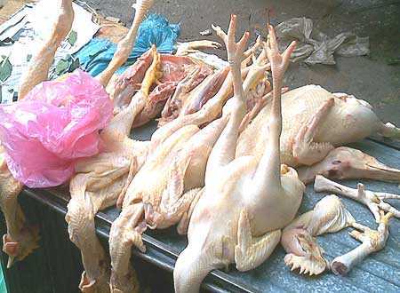 Những sự kiện y tế gây sóng gió năm 2012