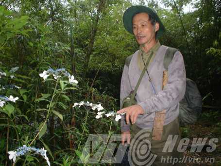 Người kể chuyện giữa đại ngàn Hoàng Liên