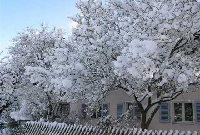 31/12: Nhiều nơi ở VN có thể có băng tuyết