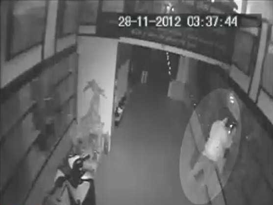 Trộm đột nhập, 'khoắng' sạch 100 laptop của cửa hàng