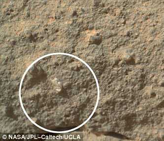 Phát hiện chấn động: Hoa nở trên sao Hỏa?