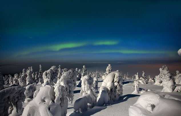 Video, ảnh: Lung linh 'khu rừng ma quái' ở Bắc Cực