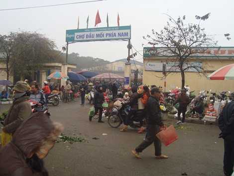 Chen chân chọn thực phẩm chợ đầu mối tránh bão giá