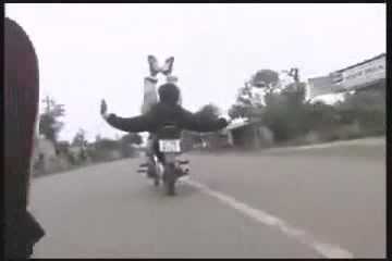 Xuất hiện clip quái xế lái xe bằng lưng phản cảm