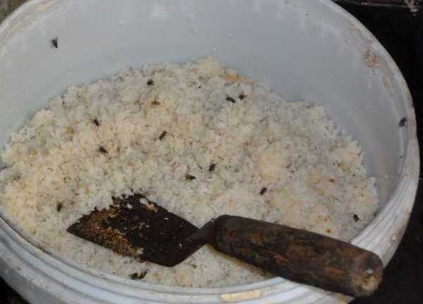 Mục sở thị làm đặc sản rượu làng Vân 'siêu bẩn'