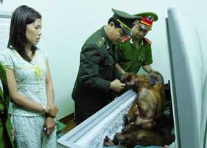 Phá 2 đầu nậu chuyên cung cấp thịt rừng