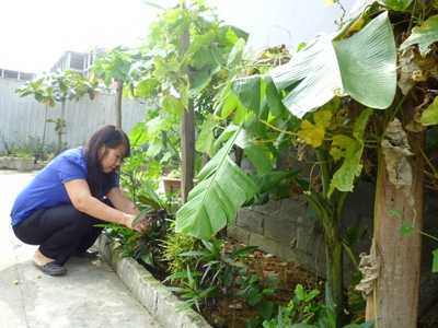 Nghị lực sống ở chung cư '144 phụ nữ' không chồng