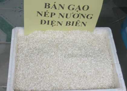 Chán cao lương mỹ vị, sếp thích quà quê