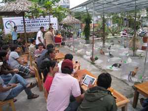 Bí ẩn dừa non Đà Nẵng bị phá hoại