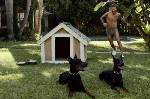 Beckham khốn khổ vì mất áo tắm