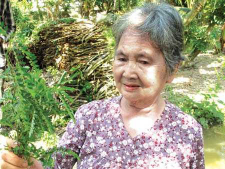 Ai bị rắn cắn, đến gặp bà Chanh 70 tuổi