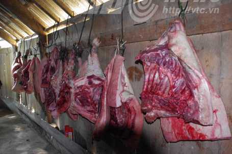 10 lợn béo ‘chết oan’ trong lễ cưới người Dao