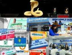 'Dân' ngân hàng mơ gì trong năm Quý Tỵ?